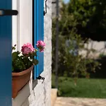 Daulos * Novigrad Istria