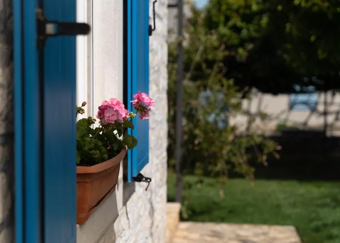 Daulos * Novigrad Istria