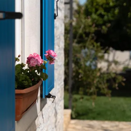 Daulos * Novigrad Istria