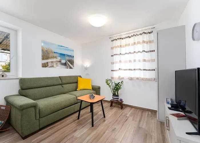 Daulos Novigrad Istria