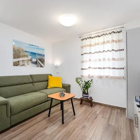 Daulos Novigrad Istria