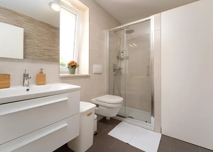 Daulos * Novigrad Istria